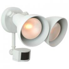 Outdoor Directional Lights in Slidell,