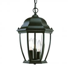  5036BK - Wexford Collection Hanging Lantern 3-Light Outdoor Matte Black Light Fixture