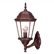  5250BW - Richmond Collection Wall-Mount 1-Light Outdoor Burled Walnut Light Fixture