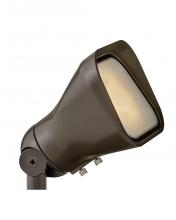 ACCENT FLOOD LIGHT