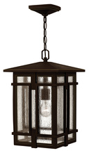 Hinkley Merchant 1962OZ - Medium Hanging Lantern