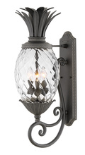  2124MB - Large Wall Mount Lantern