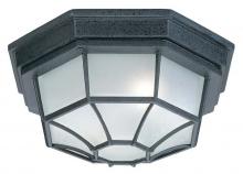  9800BK - 2 Light Outdoor Flush Mount