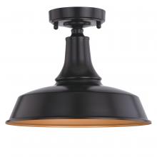  T0570 - Dorado 12 in. W Outdoor Semi-Flush Mount Dark Bronze with Light Gold