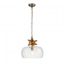  PD1005G-1 - Toussaint 1 Light Pendant