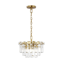  CC1254BBS - Arden Small Chandelier