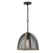  M70111DWW - 1-Light Pendant in Weathered Birch